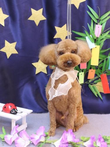 20230727ぷぅくん